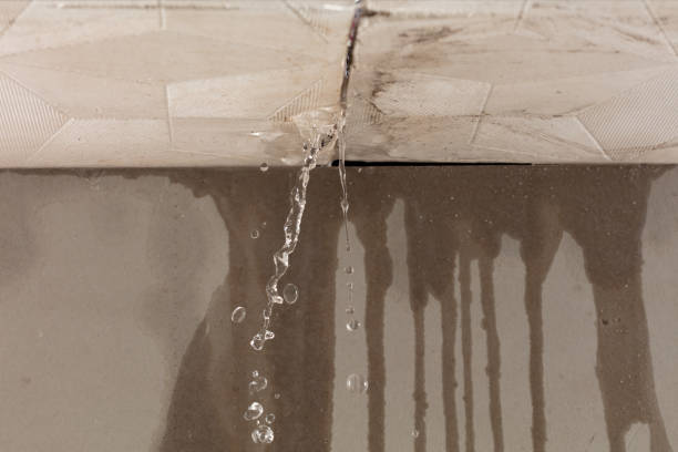 Professional Structural Drying technician working in Steuben, ME